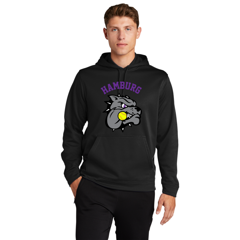 Hamburg Softball