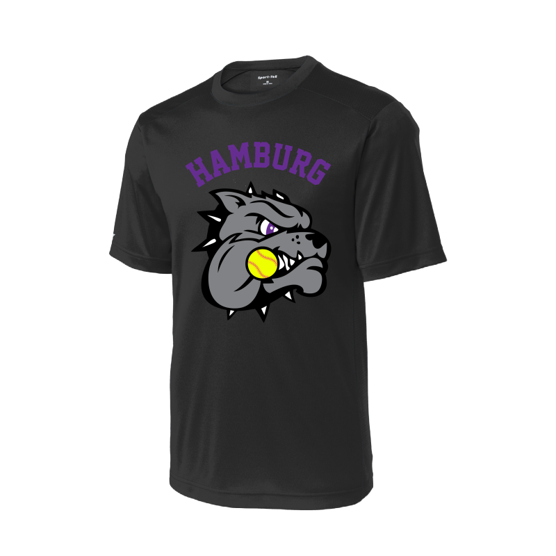 Hamburg Softball